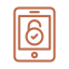 Advanced Security