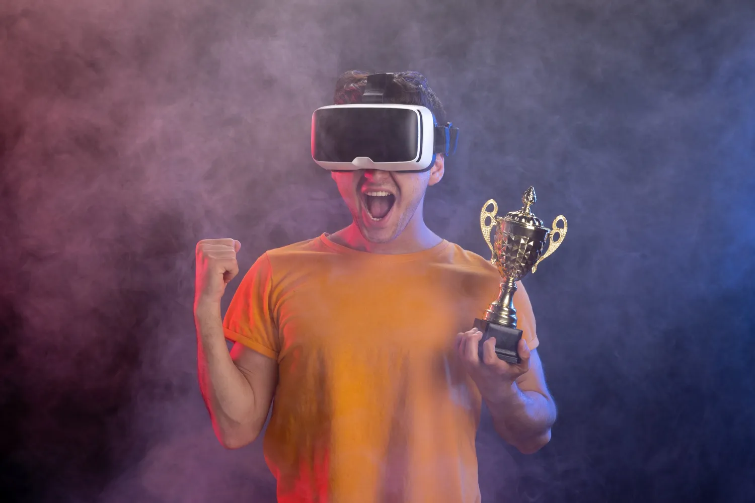 Fantasy Sport Software