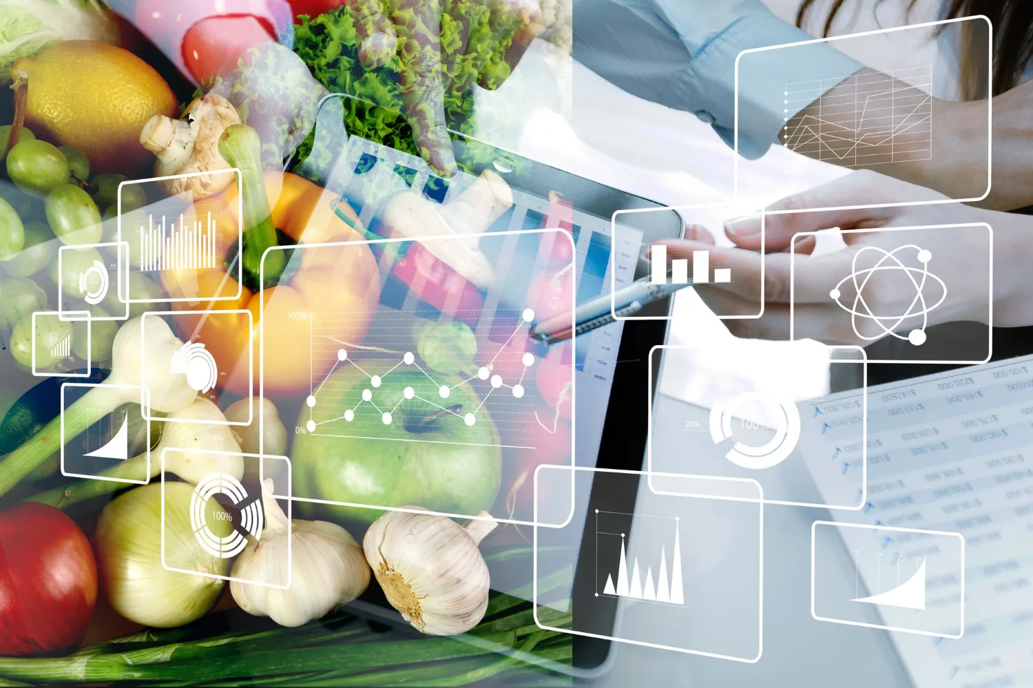 Costum Grocery App Development